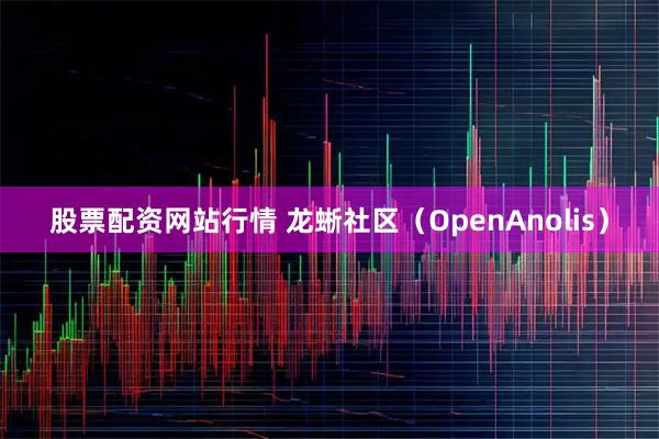股票配资网站行情 龙蜥社区（OpenAnolis）