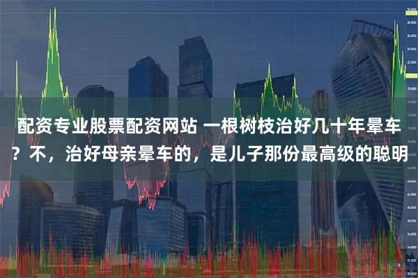 配资专业股票配资网站 一根树枝治好几十年晕车？不，治好母亲晕车的，是儿子那份最高级的聪明