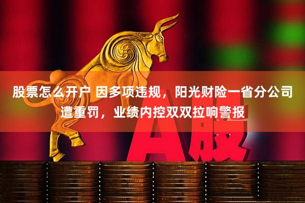 股票怎么开户 因多项违规，阳光财险一省分公司遭重罚，业绩内控双双拉响警报