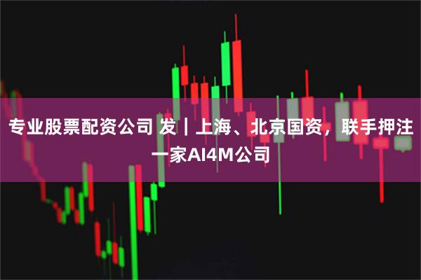 专业股票配资公司 发|上海、北京国资,联手押注一家AI4M公司