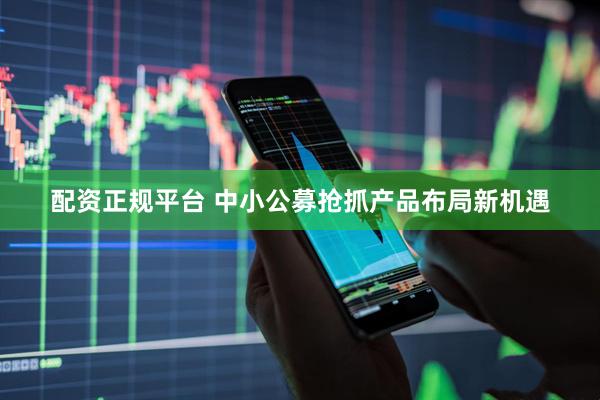 配资正规平台 中小公募抢抓产品布局新机遇